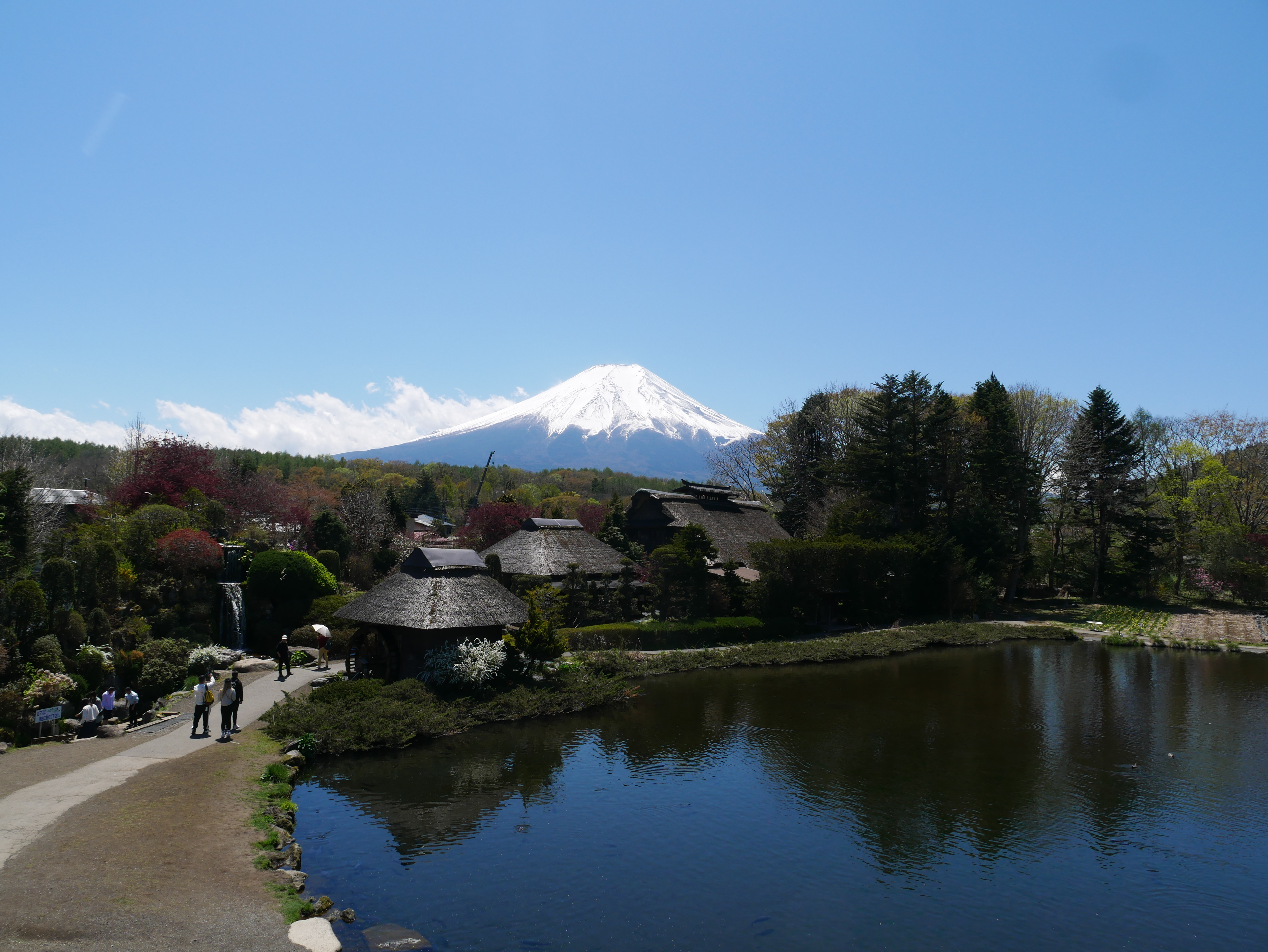 イラスト、写真、富士山一周の時の写真、忍野八海